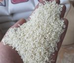خرید برنج سرلاشه کشت دوم