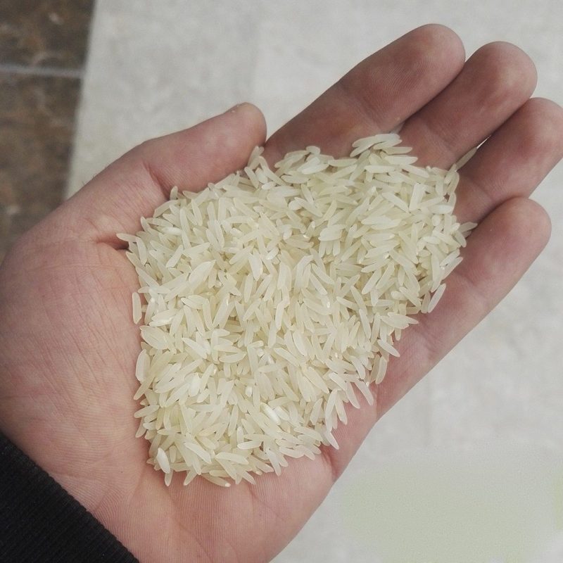 برنج فجر ارزان قیمت
