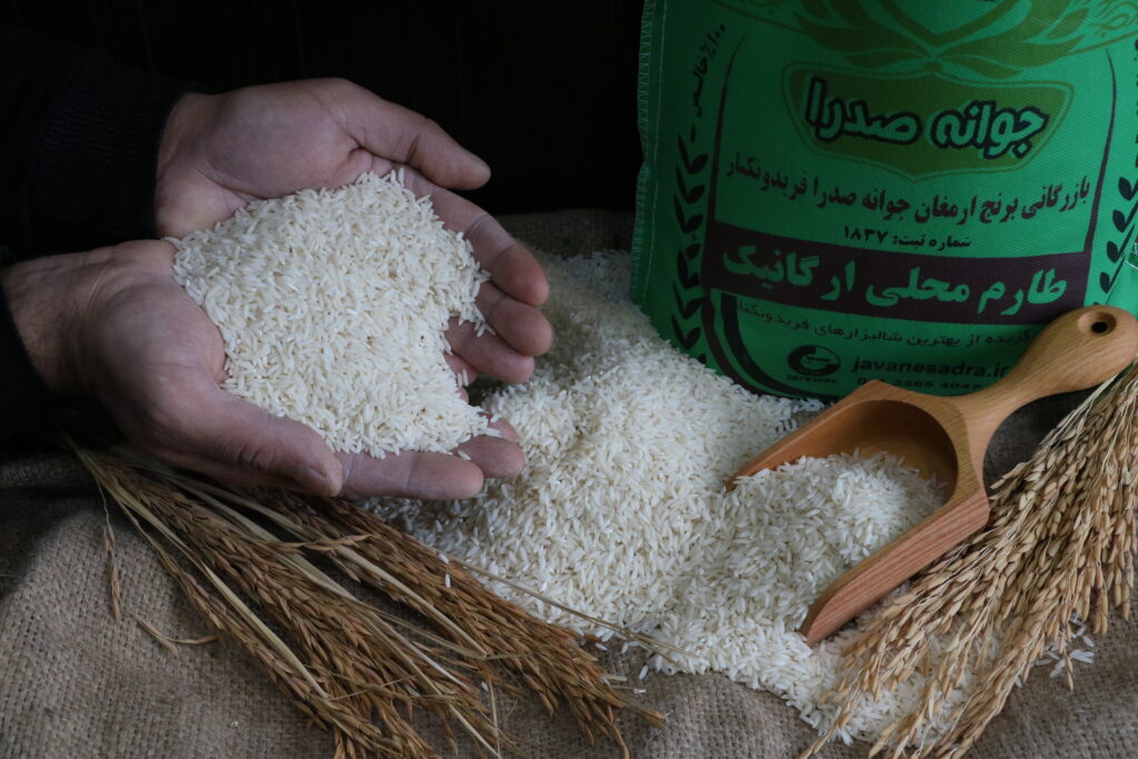 خرید برنج ارگانیک فریدونکنار