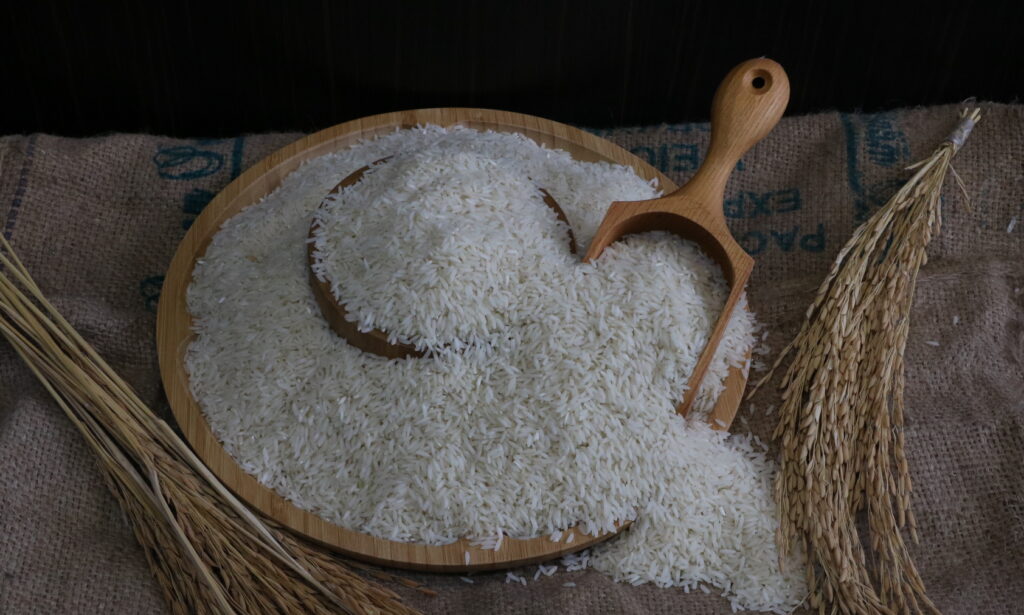خرید برنج صدری در مازندران