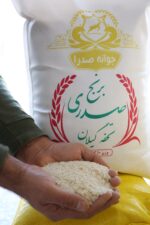 برنج صدری تحفه گیلان عکس کف دست