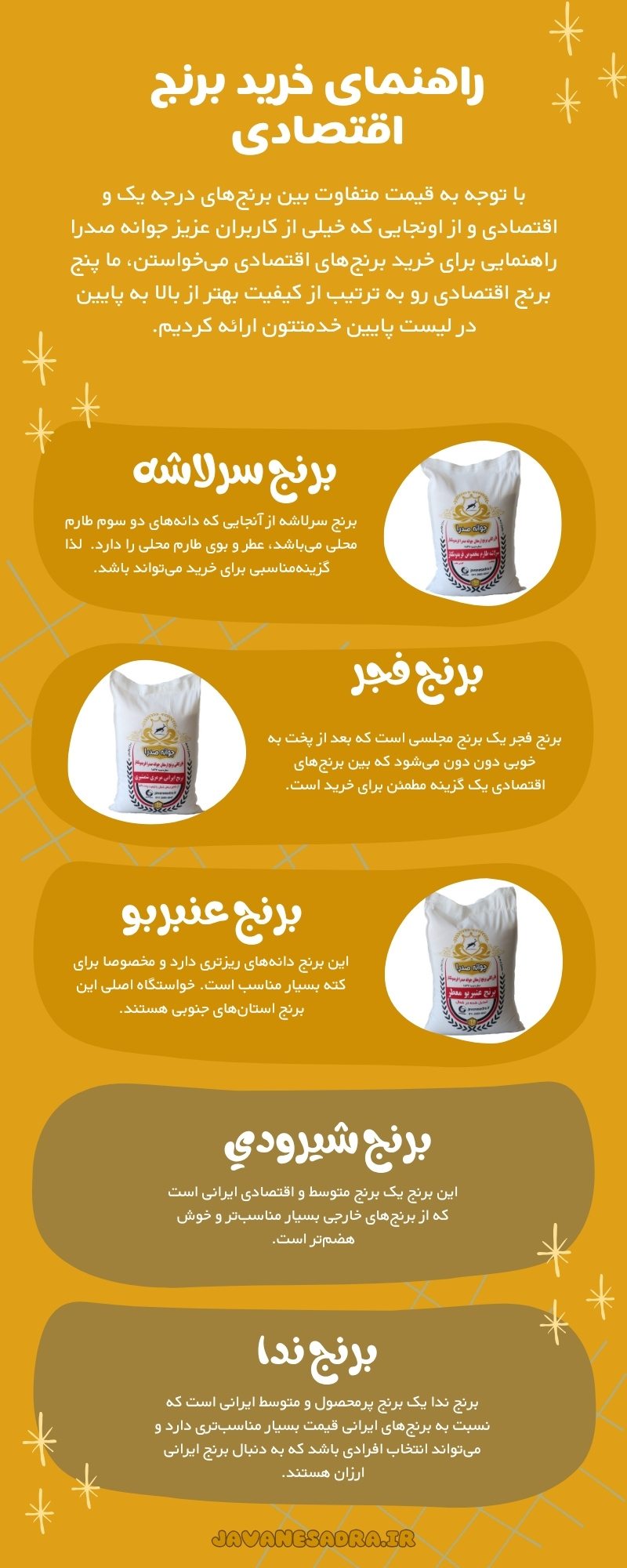 قیمت برنج ایرانی امروز راهنمای خرید برنج اقتصادی