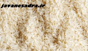 قیمت برنج در روزهای آینده