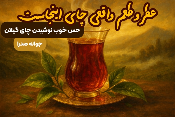 چای ایرانی جوانه صدرا